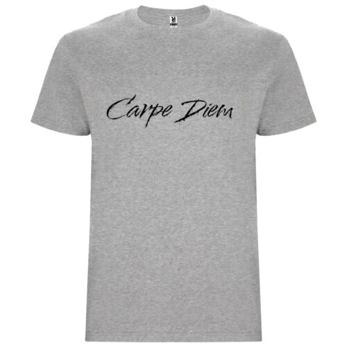 Graues T-Shirt - Carpe Diem