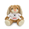 Bunny der Plüschhase – Smiley und Vorname <br> <strong>  19 cm </strong>