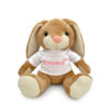 Bunny der Plüschhase – Vorname <br> <strong>  19 cm </strong>