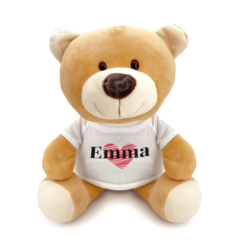 Teddy der Plüschbär – Name mit Foto <br> <strong>  23 cm </strong>