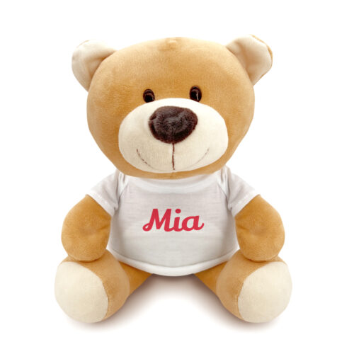 Teddy der Plüschbär – Name <br> <strong>  23 cm </strong>